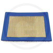 Oro filtras BRIGGS STRATTON 290400, 290700, 294400, 294700, 303400, 303700, 350700