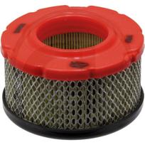 Oro filtras BRIGGS STRATTON 10T800