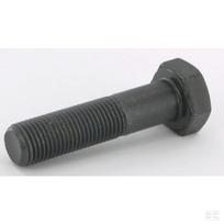 Varžtas M12x1.25x50 12.9