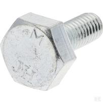 Varžtas M6 x 1.00 l/h