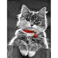 5D DIY Diamond Painting Cute Animal Cat Cross Stitch Full Drill Round/Square Embroidery Mosaic Art Picture of Rhinestones Home Decor Full Round 20X30CM raudona