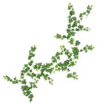 2 m dirbtinio augalo vynmedžio sienos pakabinimo modeliavimas Green Creeper namų dekoravimas 1