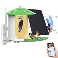 „Smart Bird Feeder“ kamera 1080p HD fotoaparatas, spalvotas naktinis matymas „Smart AI“ nustatyti paukščių rūšį PIR No Card oranžinė