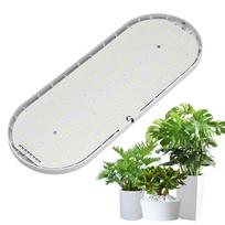 Viso spektro LED Grow Light 10W 2H/4H/8H laikmatis, 4 pritemdomų lygių augalų šviestuvai, skirti kambariniams augalams UK Plug balta