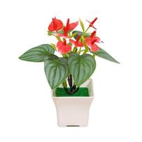 1 vnt darbalaukio ornamentas plastikinė gėlė Anthurium bonsai namų dekoras dirbtinis anturio netikras augalas raudona