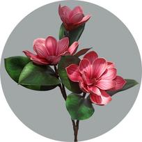 Dirbtinės gėlės Magnolija 71cm/27.9in Restorano Namų Dekoro Aksesuarai Šventės Vestuvių Gėlių Dekoracija SL-AC-P-rose-