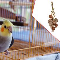 Paukščių žaislai Papūgų aksesuarai Narvas papuoštas Ara, Kakadu, Nykštukinėms papūgėlėms, Banguotajoms papūgėlėms Tvirtinimai Nut gray