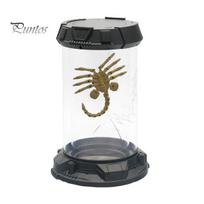 Facehugger Popcorn Bucket LED Alien Octopus Tentacles Stasis Chamber Tank Gothic Desktop Decoration Home Decor juoda