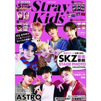 Žurnalas K-STAR Stray Kids Perfect
