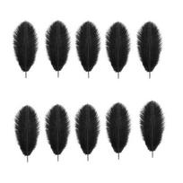 10 vnt juodųjų stručio plunksnų, natūralių plunksnų, 10-12 colių (25-30 cm) Didelė vaza papuošalams amatams 10PCS juoda