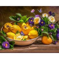 „Pasidaryk pats“ 5D deimantinis paveikslas, citrina deimantinis siuvinėjimas vaisiai Kalnų krištolų paveikslas Siuvinėjimas kryželiu 20X30CM raudona