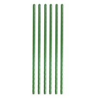 60 cm/23 colių ilgio augalų kuolai Sodininkystės stulpas plastiku dengtas plieninis vamzdis, skirtas kambariniams augalams, gėlėms ir daržovėms palaikyti 6Pcs