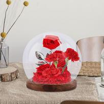 Cloche Glass Dome Ball Shape Terrarium Wedding Valentines Day Gifts Crafts Display Case 10cm