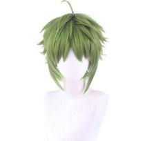 30CM Žalias Trumpas Perukas Cosplay Sylphiette Greyrat Kostiumas Mushoku Tensei Karščiui Atsparus Sintetinis Plaukas Bedarbis Reinkarnacija Perukai 27-30CM žalia