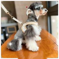 Dog Vest Traction Rope Vest Style Adjustable Cats Dogs Traction Pet Bronzing Outdoor Anti Loss Rope Fashionable Pet Products L