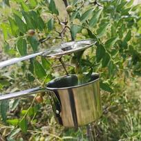 Jujube Picker Easier Harvester Anti Slip Handle Grabber Vaisių skynimo įrankis Diameter 10cm