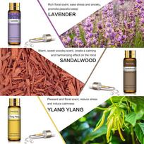 PHATOIL 9 vnt Aroma eterinio aliejaus dovanų rinkinys Jasmine Rose Lemon Therapeutic Grade Natūralus eterinio aliejaus rinkinys drėkintuvo difuzoriaus stresui malšinti #2-9pcs/set