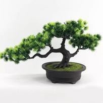 Dirbtinis bonsai Dirbtinis augalas tikroviškai atrodo black
