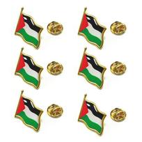 6 vnt. Palestinos segtukas Palestinos nacionalinės vėliavos sagė Šalies suvenyras Kostiumas Asmenybė Metalinis emalio ženkliukas Papuošalas Dovana 6 pcs with a set