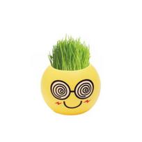 Mielas plastikinis vazonas, mini jaustukas „pasidaryk pats“ žolės sodinimas namų darbalaukyje, langas, vazonas 3#