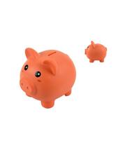 Taupyklė, iTotal, ORANGE PIGGY