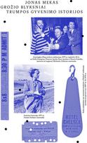 Grožio blyksniai - Jonas Mekas