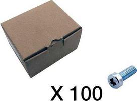 CUBIC 100 vnt. Cilindrų varžtai, torx