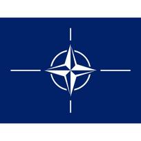 NATO vėliava 170x100 cm su karabinais