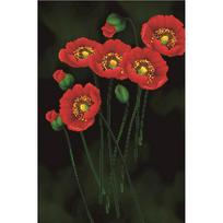 Siuvinėjimo kryželiu rinkinys RED POPPIES on BLACK 41x62cm