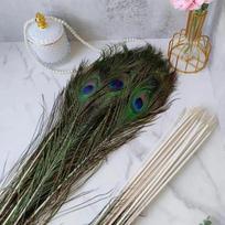 10 vnt. Povo plunksnos ornamento plunksnos puošmenos namų gėlių kompozicijos scenos kostiumas 10PCS