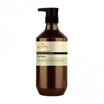 Dancoly Angel En Provence Green Tea Anti Dandruff Shampoo 400ml