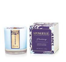 SPONGELLÉ Private Reserve Floret Blackberry kvapni žvakė, 226 g