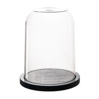 Stiklinis kupolas vitrina trapiems lobiams 23cmx28.4cm
