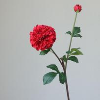 2 Heads Beautiful Flowers Living Room Dining Table Flower Material Accessories Wedding Hall Decoration Photography Hand-held Flower Ornaments