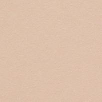 Popierius Curious Metallics A4 120g. 50l., Nude 408158