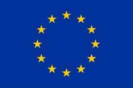 Europos Sąjungos vėliava su karabinais 100x170cm