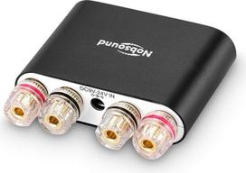 "Nobsound NS-10G PRO" stereofoninis stiprintuvas, "Hi-Fi DSP" 100 W x 2 "Bluetooth 5.0" imtuvas, 2.0 kanalo galios garso stiprintuvas namų kolonėlėms, atnaujinta versija, mini skaitmeninis stiprintuvas (juodas)