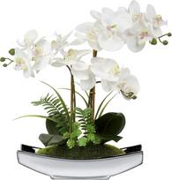 Dirbtinės gėlės Orchidėjos Dirbtinis Phalaenopsis Bonsai Dirbtinės gėlės, kaip ir tikros vazone Dirbtinės gėlės dekoracijos gyvenamajame kambaryje Vonios kambario stalo apdaila Aukštis 38 cm