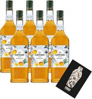 Individualus rinkinys su "Giffard Mangue", 6 sirupų rinkinys, po 1 litrą mangų