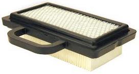 Oro filtras BRIGGS&STRATTON