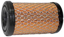 Oro filtras BRIGGS&STRATTON INTEK