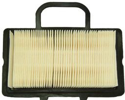 Oro filtras BRIGGS&STRATTON