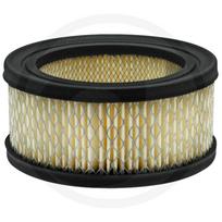 Oro filtras BRIGGS STRATTON 251400, 252400, 253400, 255400