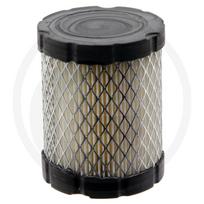Oro filtras BRIGGS STRATTON 215800, 217800, 217900, 219800, 219900, 21B800, 21B900