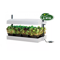 Daigykla su lempomis Grow Light Garden16W Balta