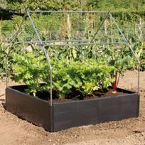 Rėmas pakeltai lysvei „Grow“