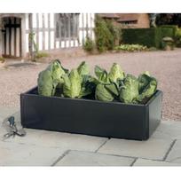 Pakelta Lysvė „Mini Grow“