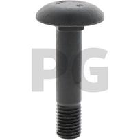 Varžtas (grybo formos) M16x65