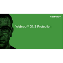 Webroot | DNS Protection with GSM Console | 2 year(s) | License quantity 1-9 user(s)|152300002A