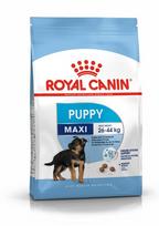 Royal Canin SHN Maxi Puppy 12kg | R475533 | 3182551065398